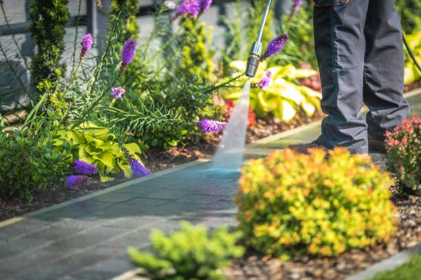Best Patio and Deck Pressure Washing  in Hazelwood, MO